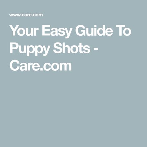 Dog Shots Schedule, Puppy Shots, Cuddle Love, Dog Shots, Schedule Printable, Get Shot, Two Dogs, Flea And Tick, Animal Hospital