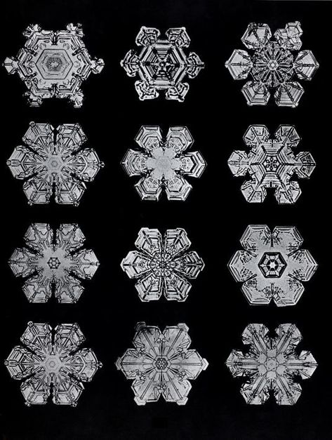 Snowflake Bentley, Snowflake Photos, Harvard Art Museum, Geometric Nature, Snow Crystal, Winslow Homer, Art Museums, Textures And Tones, One Design