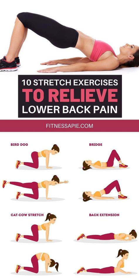 Stretching and other light exercises can reduce the agony in your lower back. In this article, we are going to look at 10 amazing stretches that can help with lower back pain. Lower Back Pain Stretches, Low Back Stretches, Back Stretches For Pain, Lower Back Pain Exercises, Yoga Kurse, Yoga Online, Yoga For Back Pain, Light Exercise, Lower Back Pain Relief