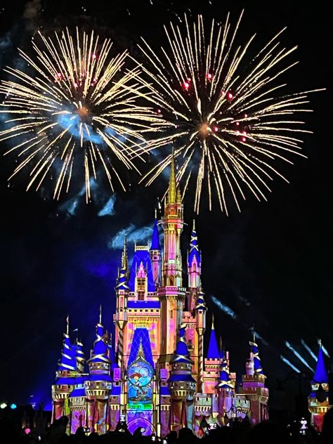 Disney College Program Enchanted Fireworks Disney Fireworks Wallpaper, Disney World Vision Board, Walt Disney Aesthetic, Walt Disney World Aesthetic, Magic Kingdom Aesthetic, Disney Castle Fireworks, Firework Aesthetic, Disney World Fireworks, Disneyland Fireworks