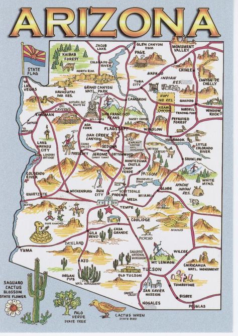 arizona-state-map-vertical-blue_2838516936_o  #Postcards #Collectables #Vintage #Retro #Photos #Art #Arizona #Places #Maps #Scenes Ancestry Map, Lake Havasu Arizona, Arizona History, Arizona Map, Oak Creek Canyon, Colorado City, Page Arizona, Retro Photos, Maps For Kids