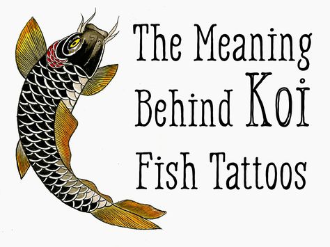 Koi Fish Tattoo Meaning—Color, Direction, and More Fish Tattoo Meaning, Koi Fish Tattoo Meaning, Coy Fish Tattoos, Koi Fish Tattoos, Koi Fish Colors, Japanese Koi Fish Tattoo, Nikko Hurtado, Koi Dragon, Koi Tattoo Design