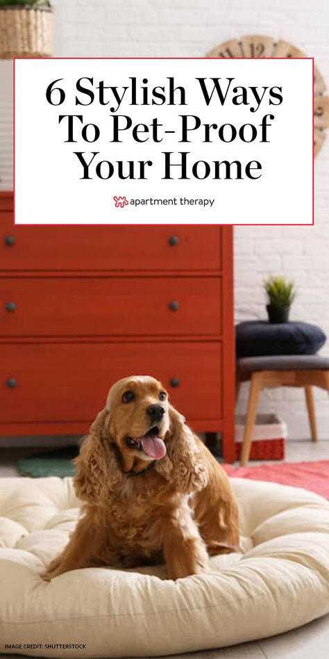 Here's how to pet-proof your home without compromising on design. #pets #petproof #petcare #petparenting #pettraining #petfriendly #designtips Pet Friendly Home Design, Home With Dog Aesthetic, Dog Friendly Decor, Pet Friendly Home Ideas, Dog Friendly Interior Design, Pet Friendly Decor, Dog At Home Aesthetic, Dog Friendly Home Design, Pet Friendly Apartment Ideas