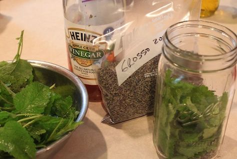 #bug #spray Lemon Balm Lavender "Bugs Off" Spray ... as I'm presently paying a LOT for DEET-free spray, I just might try making my own. Homemade Bug Spray, Diy Bug Spray, Natural Bug Spray, Bug Off, Bug Spray, Homemade Remedies, Lemon Balm, Diy Health, Insect Repellent