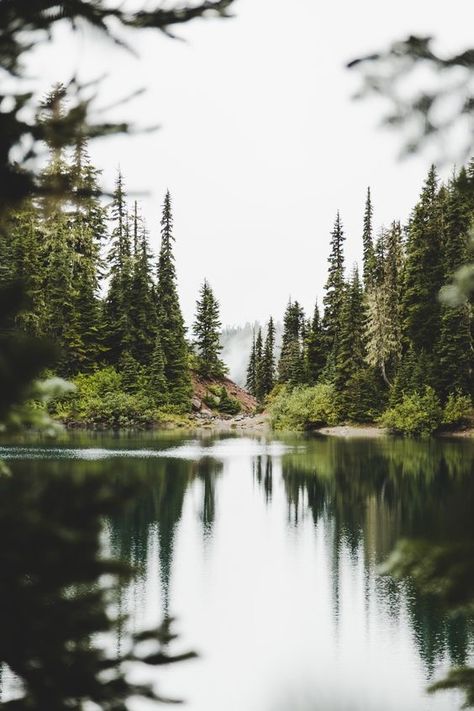 Body Of Water, Foto Tips, Alam Yang Indah, Pine Trees, Nature Aesthetic, Photography Nature, Nature Travel, In The Woods, Beautiful World