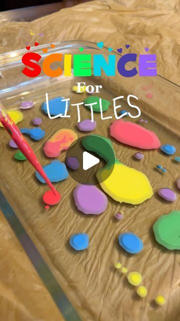 Preschool Easy Science Activities, Colors Science Preschool, Senses Science Experiment, Oil Water Food Coloring Experiment, Steam Experiments For Preschool, Color Mixing Experiments For Kids, Science Experiments For Infants, Attention Bucket Stage 3 Ideas, Kindergarten Science Experiments Easy