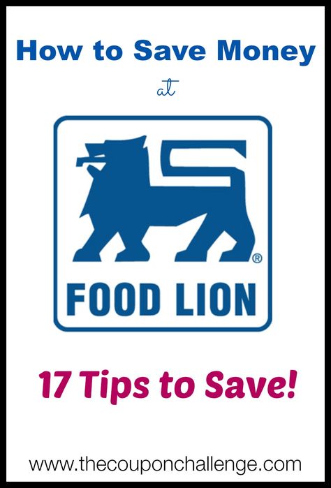 How to Save Money at Food Lion: 17 tips Food Lion Recipes, Fabulously Frugal, Money Saving Recipes, Savings Ideas, Living On A Dime, Frugal Living Ideas, Saving Challenge, Extreme Couponing, Money Savings