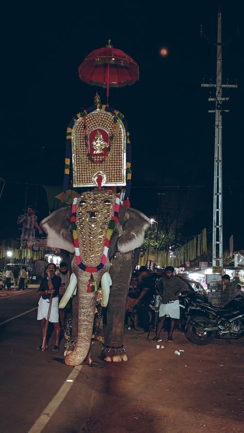 Pooram vibes #Kerala Kerala, Photography Poses, Photography, Instagram