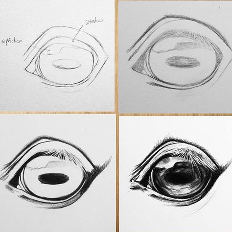 Comment dessiner un œil de cheval Drawing An Eye, Horse Drawing Tutorial, Horse Art Drawing, Horse Sketch, Horse Anatomy, Eye Drawing Tutorials, Nose Drawing, Horse Artwork, Horse Drawing