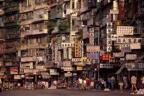 Photos: Kowloon Walled City, once the most crowded place on Earth - Business Insider Place Reference, Immortal Longings, Chloe Gong, Kowloon Walled City, Landscape Building, Town Building, City Block, Modern Architects, Walled City