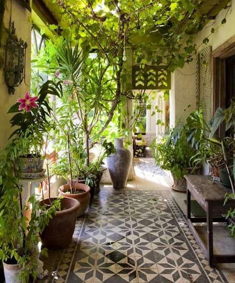 I love the idea of Bohemian style in the conservatory. Irish Country House, Modern Planters, Patio Interior, Balcony Decor, Balcony Garden, Terracotta Pots, Outdoor Rooms, Garden Room, Indoor Garden