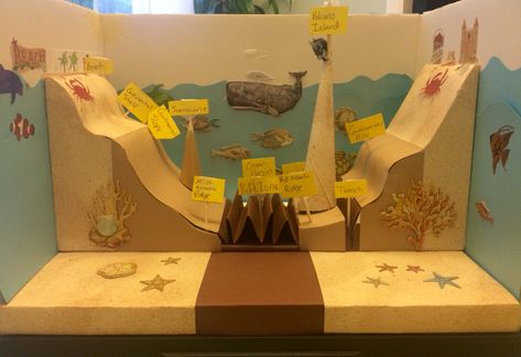 5th Grade Ocean Floor project Ocean Floor Project, Science Project Models, Ocean Art Projects, Ocean Projects, Solar System Projects, Ocean Science, Sea Floor, 5th Grade Science, Ocean Floor