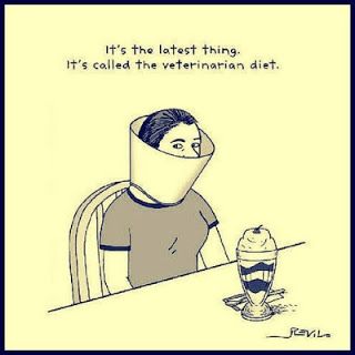 . Diet Jokes, Veterinary Humor, Diet Funny, Cone Of Shame, Diet Humor, Smarty Pants, Humor Memes, Workout Humor, Internet Funny