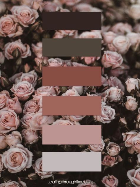 Canva Color Palette Wedding, Dusty Rose Color Pallete, Vintage Pantone Colour Palettes, Rusty Rose Color Palette, Vintage Rose Color Palette, Dark Rose Color Palette, Rose Gold Pallete Color, Wedding Pink Palette, Rose Gold Color Palette Colour Schemes