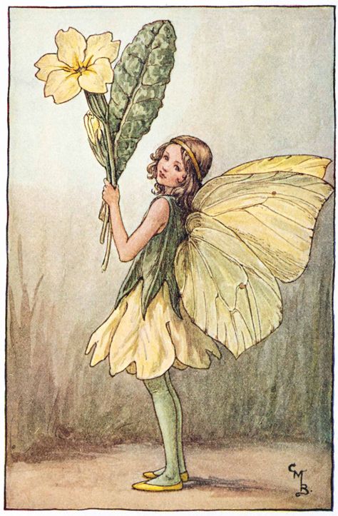 Illustration for the Primrose Fairy from Flower Fairies of the Spring. A girl fairy stands facing left holding a bunch of primroses.- Cicely Mary Barker  300.1.10 FF Spring 10 1923 동화 삽화, Illustrator Inspiration, Fairy Images, Spring Fairy, Fairy Illustration, Fairy Pictures, Cicely Mary Barker, Fantasy Magic, Fairies Elves