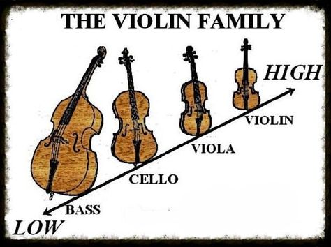 Violin Family, Cool Violins, Singing Voice, Modern Music, Bass Player, Music Lovers, Violin, Novelty Sign