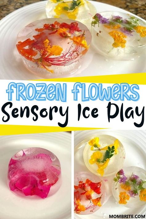 Flower Science, Preschool Homeschooling, Toddler Stem, Frozen Flowers, Flower Ice Cubes, Ice Play, Boredom Busters For Kids, Toddler Parenting, Frozen Rose