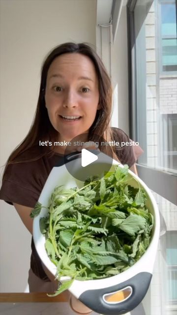 Olivia Robertson-Moe, NTP | Nutrient-Dense Nutrition on Instagram: "stinging nettle pesto recipe 👇👇

🤨why are we eating stinging leaves olivia??

👉Stinging nettle is a super nutritionally dense green that grows wild. 

😮it’s rich and antioxidants and a great source of minerals

👉BUT dont worry, blanching the greens denatures the stinging hairs so no stinging pesto here 

here’s how i made it: 

* About 4 cups loosely packed nettle leaves (turns into about ½ cup blanched nettles)
* 3 cloves garlic, peeled
* ¼ cup toasted pecans 
* 2 tbsp grated parmesan 
* 1 tbsp preserved lemon (optional)
* ½ - 1 cup high quality extra virgin olive oil 
* Sea salt to taste 

1️⃣To blanch the nettle, add the leaves to a pot of boiling water. Stir and completely submerge for about 60 seconds, then remo Benefits Of Stinging Nettle, Nettle Pesto Recipe, How To Grow Stinging Nettle, Nettle Fiber, Stinging Nettle Soup, Nettle Recipes, Stinging Nettle, Preserved Lemons, Toasted Pecans