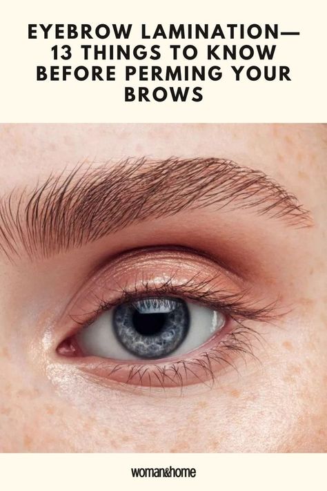 We outline the facts and things you need to know so you can work out if eyebrow lamination is for you. New Eyebrow Trend, Fix Eyebrows, Types Of Brushes, Best Eyebrow Pencils, Eyebrow Lamination, Best Eyebrow Makeup, Eyebrow Trends, Foundation Brushes, Eyebrow Styles