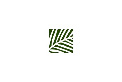 Plaza de coco palmera datilera hojas naturaleza jardín logo diseño vector Dates Branding, Palm Logo Design, Palm Leaf Logo, Garden Logo Design, Tropic Logo, Villa Logo, Jungle Logo, Coconut Logo, Coconut Design