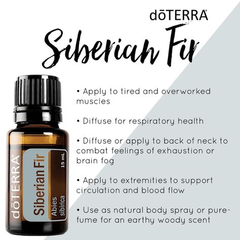 Siberian Fir Essential Oil, Doterra Oils Recipes, Siberian Fir, Doterra Essential Oils Recipes, Essential Oils For Massage, Essential Oil Remedy, Oil Remedies, Essential Oils Herbs, Essential Oils Health