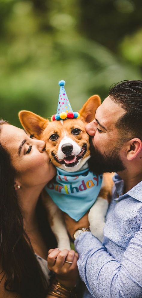 1st Birthday Dog Ideas, Dogs Birthday Photoshoot Ideas, Dog Birthday Ideas Pictures, Dog One Year Birthday Photos, Doggie Birthday Photoshoot Ideas, Photoshoot Ideas For Dogs Birthday, Picnic With Dog Photoshoot, Dogs Birthday Photoshoot, Puppy Birthday Photoshoot Ideas