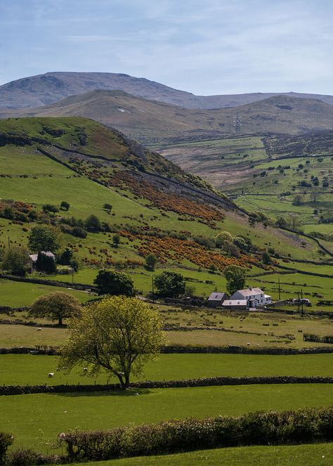 Welsh Countryside Aesthetic, Welsh Forest, Welsh Aesthetic, Welsh Mountains, Welsh Landscape, Irish Landscapes, Wales Holiday, Welsh Countryside, Irish Landscape