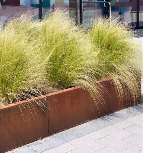 Garden Troughs, Rectangle Planters, Corten Steel Planters, Trough Planters, Weathering Steel, Steel Planters, Have Inspiration, Metal Planters, Water Element