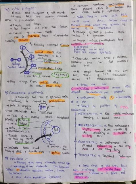 Notes of Cell Theory and Organelles of Cell the unit of life Cell The Unit Of Life, Cell Biology Notes, Cell Theory, Learn Biology, Life Notes, Study Flashcards, Biology Lessons, Science Notes, Biology Notes