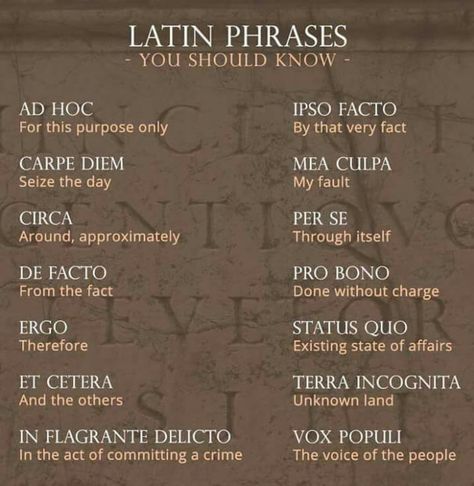 Always handy! - 9GAG Beautiful Latin Phrases, Latin Words And Meanings, Words And Meanings, Learn Latin, Latin Quotes, Latin Language, Latin Phrases, English Writing Skills, Latin Words