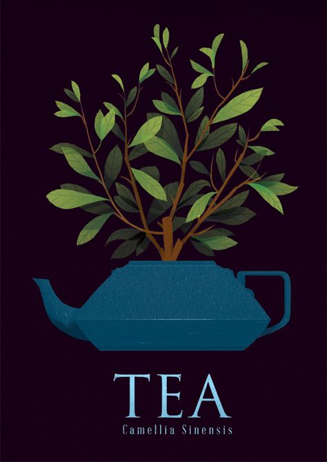 . Cuadros Diy, Tea Illustration, Tea Plant, Tea Quotes, Camellia Sinensis, Cuppa Tea, Tea Packaging, Chai Tea, Tea Art