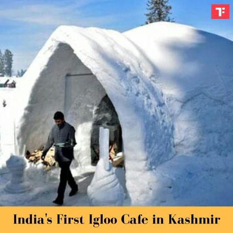 Kashmir Restaurant, Glass Restaurant, India First, Hot Food, Hot Meals, Ski Resort, Cafe, Restaurant, India