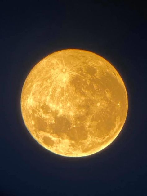 Yellow Space Aesthetic, Yellow Moon Aesthetic, New Moon Pictures, Moon And Ocean, Amber Moon, Full Moon Party, Big Moon, Orange Moon, Golden Moon