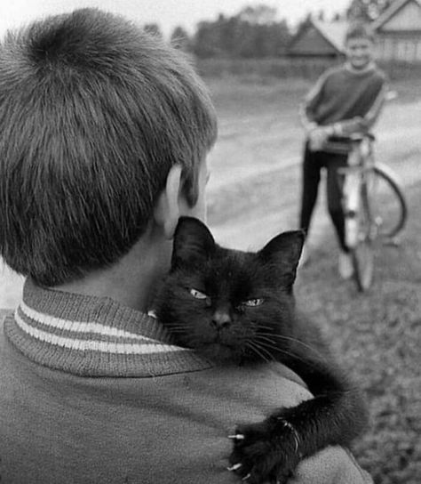 Cat Hug, A Black Cat, Cat People, Appaloosa, Quarter Horse, Cats Meow, Crazy Cat Lady, Animals Friends, A Boy