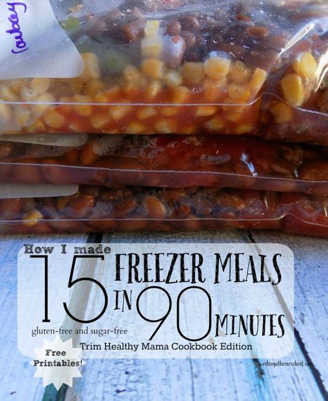 How I made 15 freezer meals in 90 minutes Keto Camping, Thm Meal Plans, Trim Healthy Mama Recipe, Trim Healthy Mama Diet, Thm Dinner, Camping Meal, Trim Healthy Recipes, Trim Healthy Mama Plan, Trim Healthy Momma