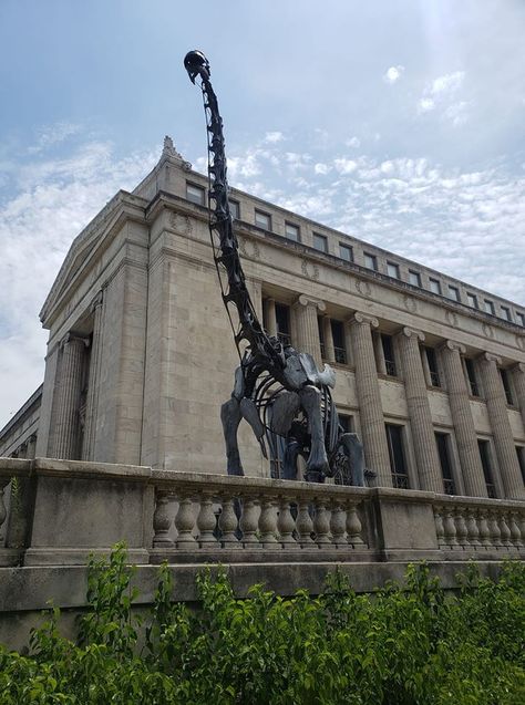 This is a Brachiosaurus.  The 75 ft tall dinosaur standing outside the Field Museum in Chicago. Chicago Field Museum, Melanie Harlow, Museum Natural History, Museum Chicago, 2024 Manifestations, Field Museum Chicago, Slap Shot, Chicago Museums, Field Museum