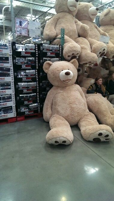 8 feet tall teddy bear @costco Massive Teddy Bear, Costco Bear, Human Size Teddy Bear, Huge Teddy Bears, Cute Little Things, Snoopy, Teddy Bear, Toys, Birthday