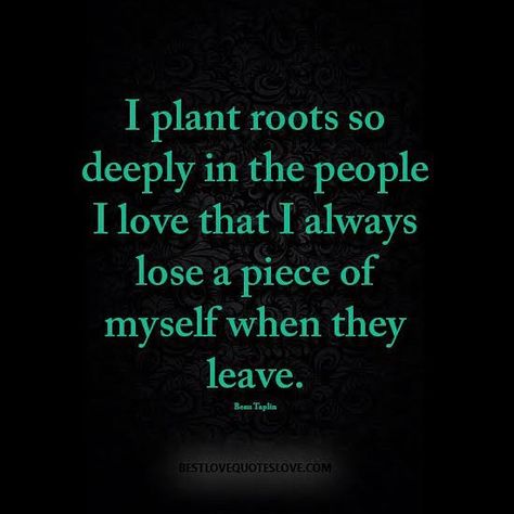 Rooted Quotes, Family Love Quotes, Universe Quotes, My Roots, Quotes About Everything, Post Quotes, Different Quotes, Best Love Quotes, Writing Ideas