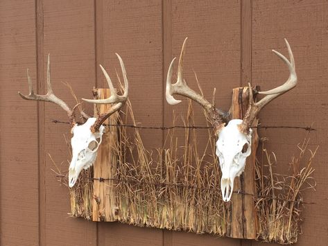 Fence post double European mount Barnwood Deer Mount, European Mount Display Ideas, Euro Deer Mount Ideas, Euro Mount Display, Deer Head Mount Ideas Display, Euro Mount, European Mount Display, European Deer Mount, European Mounts