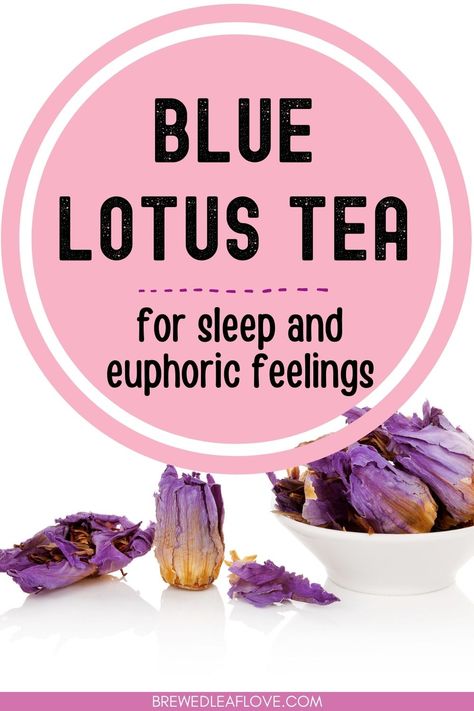 Lotus Flower Tea Benefits, Blue Lotus Spells, Blue Lotus Flower Tea Recipe, Blue Lotus Flower Tea Benefits, Percy Jackson Lotus Flower Recipe, Blue Lotus Tea Recipe, Blue Lotus Tincture Recipe, Blue Lotus Benefits, Blue Lotus Tea Benefits