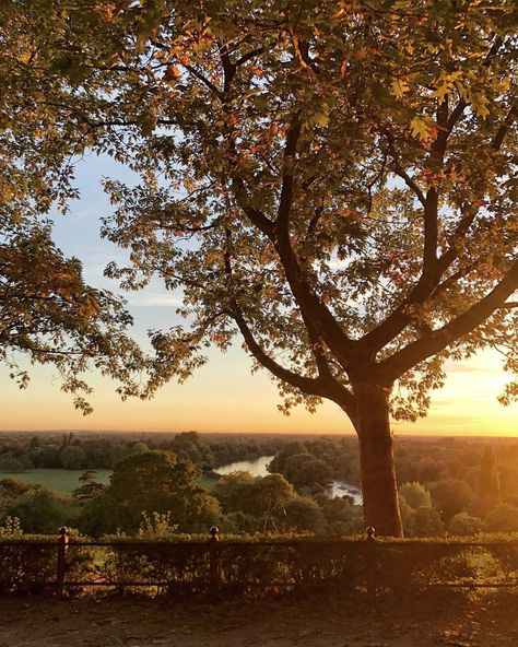 Media Coursework, Richmond London, Ber Months, Aesthetic London, Richmond Upon Thames, Autumn Sunset, Richmond Park, Genius Loci, Kingdom Of Great Britain