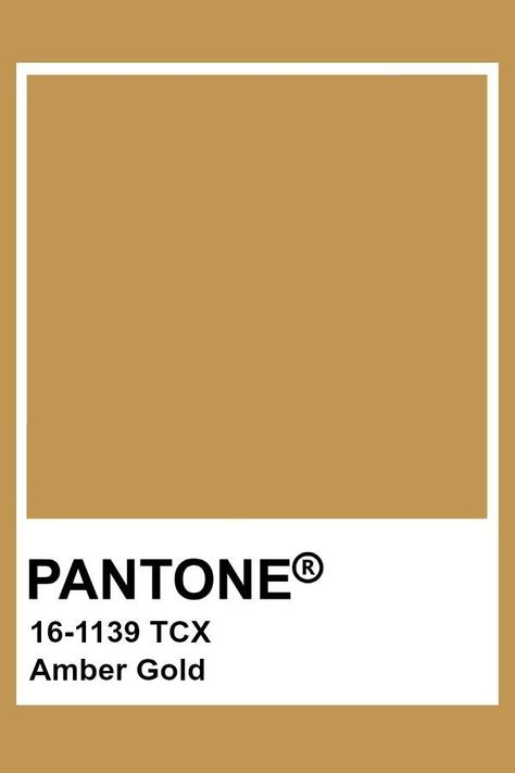 Amber Gold Golden Pantone, Pantone Tcx, Yellow Pantone, Pantone Color Chart, Pantone Swatches, Pantone Palette, Pantone Colour Palettes, Pantone Colors, Yellow Paint