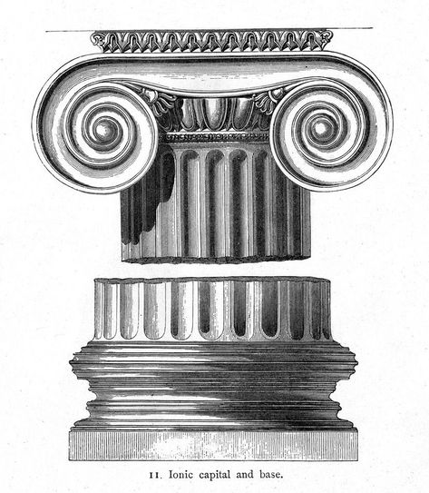 #columns #rendering #drawing #illustration from Penn State Libraries Ionic Order, Architectural Orders, Ionic Column, Greek Columns, Ancient Greek Architecture, Architecture Concept Drawings, Architecture Drawing Art, Art Antique, Classical Architecture