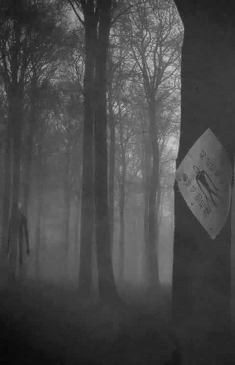 Slender Man Wallpaper, Creepypasta Wallpaper, Creepypasta Slenderman, Creepypasta Proxy, Creepypasta Cute, Slender Man, رعب نفسي, Creepypasta Characters, The Killers