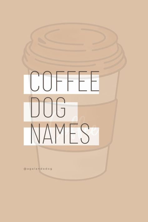 Text that reads coffee dog names. Coffee Names, Boy Dog Names, Girl Dog Names, Drink Names, Cute Names For Dogs, Coffee Brand, Coffee Girl, Dog Coffee, Girl And Boy