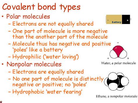 Polar Covalent Bonds Polar Bonds Chemistry, Polar Covalent Bonds, Polar And Nonpolar Bonds, Polar And Non Polar Chemistry, Covalent Bonds Notes, Physiology Notes, Covalent Bonds, Chemistry Help, Chemistry Revision