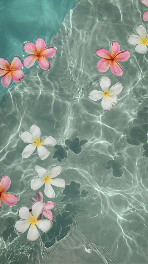 Hibiscus Phone Wallpaper, Vintage Summer Aesthetic Wallpaper, Water Astethic, Sea Hibiscus, Hibiscus Flower Wallpaper, Iphone Wallpaper Beach, Hibiscus Wallpaper, White Hibiscus Flower, Summer Prints Wallpaper