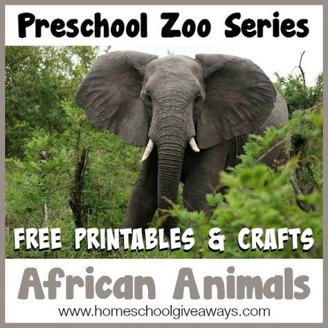 African Animals Preschool Animals, Zoo Animals Preschool, Preschool Zoo Theme, Preschool Jungle, Zoo Preschool, Jungle Crafts, Zoo Crafts, Zoo Activities, Zoo Theme