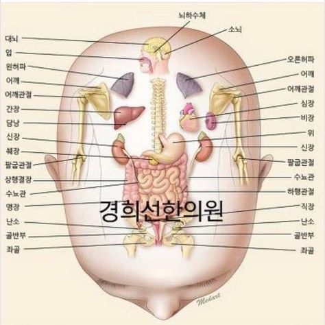 Head Reflexology, Healing Reflexology, Ear Reflexology, Reflexology Points, Migraine Headache, Massage Therapy Techniques, Reflexology Chart, Reflexology Massage, Cupping Therapy