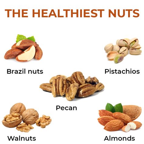 Top 5 Healthiest Nuts Are : 1. Brazil Nuts 2. Pistachios 3. Pecan 4. Walnuts 5. Almonds Walnuts Benefits For Women, Brazilian Nuts Benefits, Brazil Nuts Benefits For Women, Brazil Nuts Benefits, Herbal Lifestyle, Brazilian Nuts, Nut Benefits, Vegan Benefits, Healthy Munchies